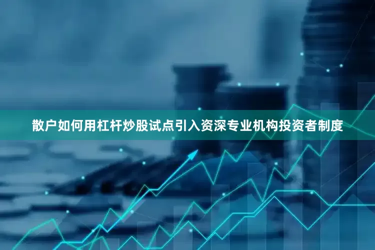 散户如何用杠杆炒股试点引入资深专业机构投资者制度