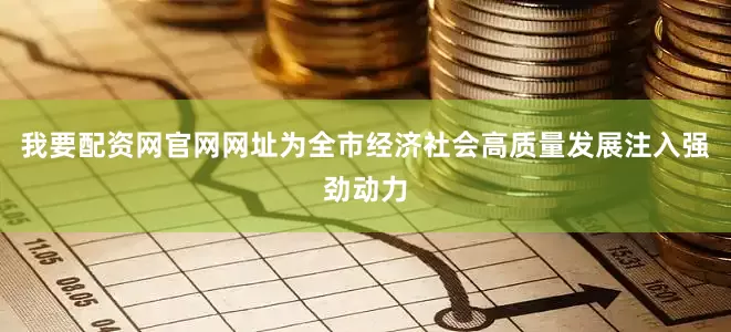 我要配资网官网网址为全市经济社会高质量发展注入强劲动力