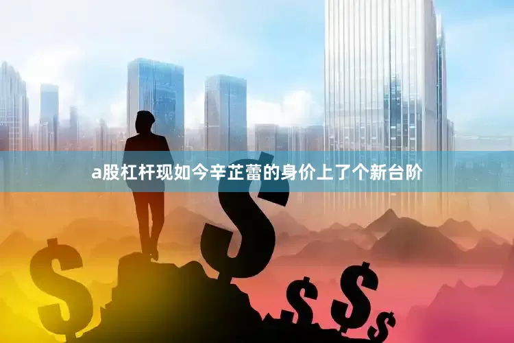 a股杠杆现如今辛芷蕾的身价上了个新台阶